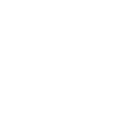 AJ Capital Partners